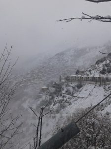 Χιονισμένο Γαρδίκι