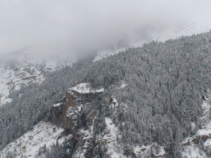 Χιονισμένο Γαρδίκι