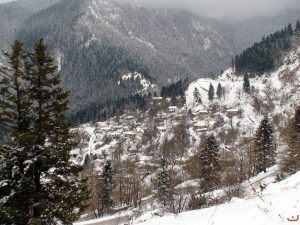 Χιονισμένο Γαρδίκι