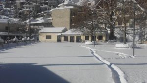 Χιονισμένο Γαρδίκι