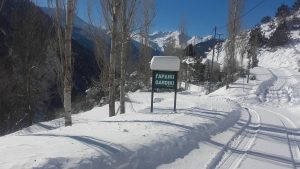 Χιονισμένο Γαρδίκι