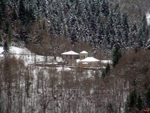 Διάφορες φωτογραφίες από το Γαρδίκι