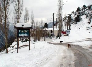 Χιονισμένο Γαρδίκι