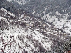 Χιονισμένο Γαρδίκι