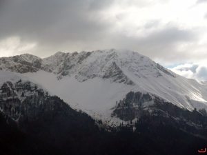 Χιονισμένο Γαρδίκι