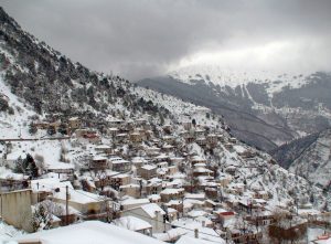 Χιονισμένο Γαρδίκι