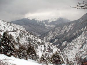 Χιονισμένο Γαρδίκι