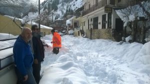 Η νεολαία του Γαρδικίου