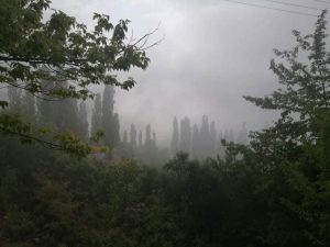 GardikiFans το χωριό μας