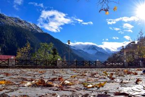 GardikiFans το χωριό μας